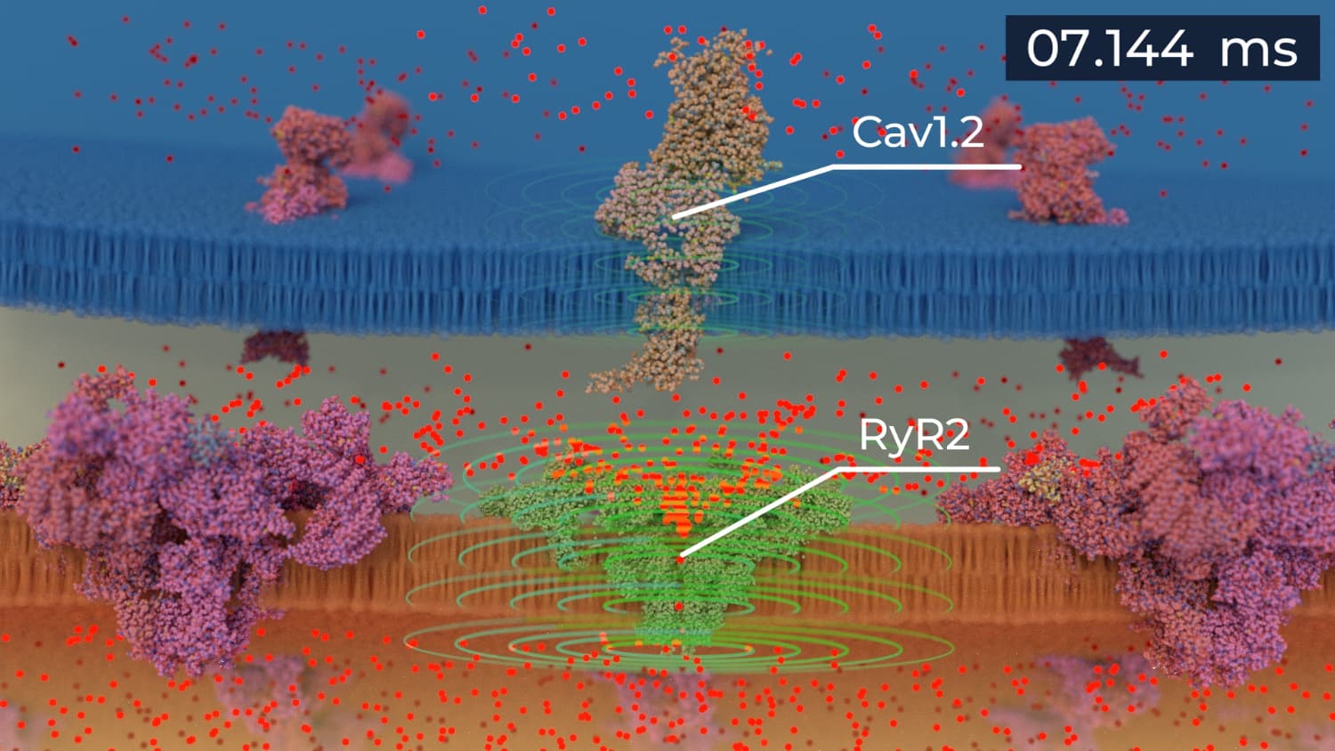 Bungalow 3D Visualization
